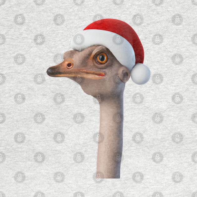 Fun Ostrich Weating Santa Hat Animal Humor by taiche